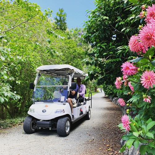 WQGT Golf Cart Kerry Marinkovich