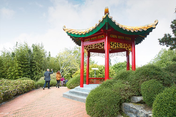 Hamilton Gardens Chinese Scholars Garden