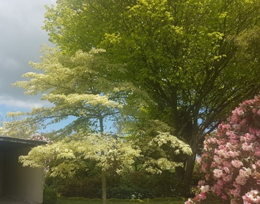 63731986571602477520161109 135716