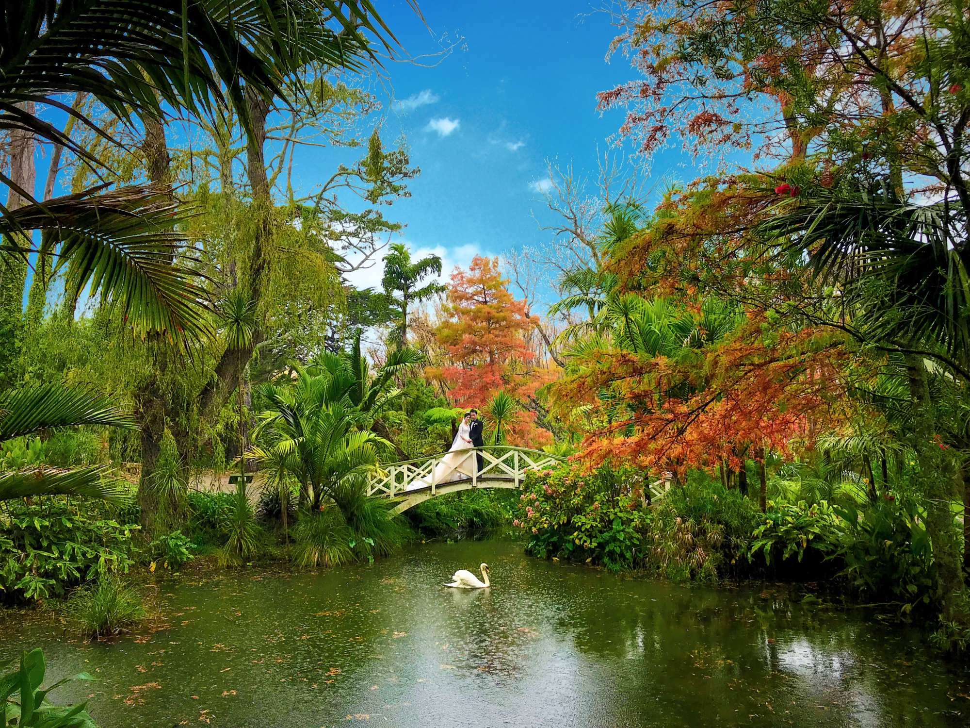 garden bridge