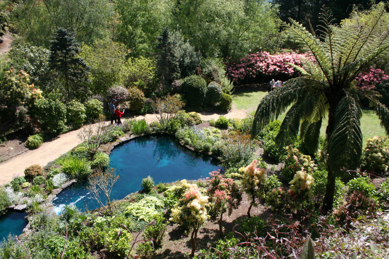 Pools083-1-1536x1024.jpg