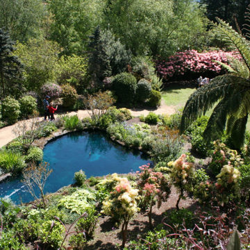 Pools083-1-1536x1024.jpg