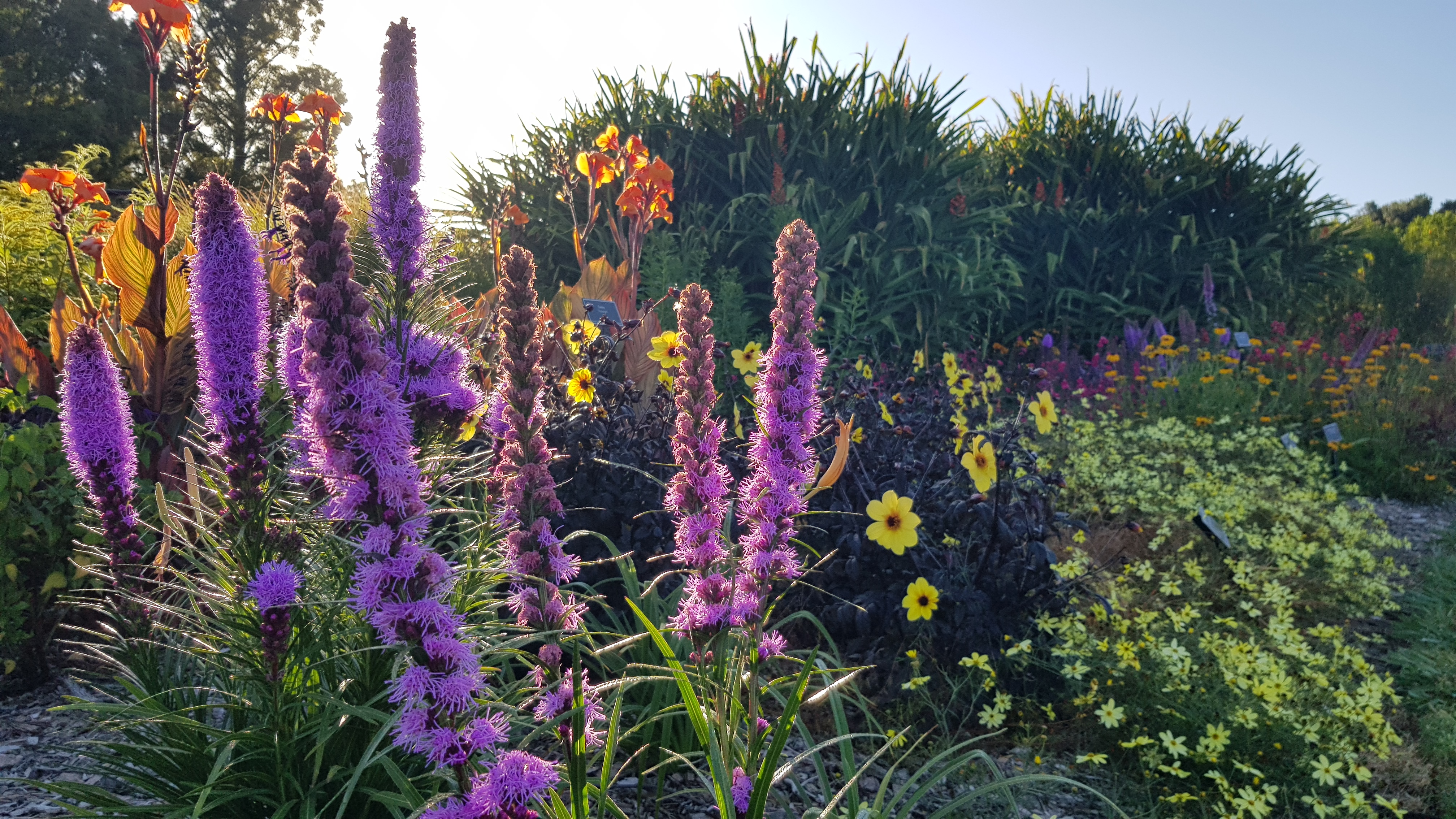 Gardens to visit Auckland Botanic Gardens