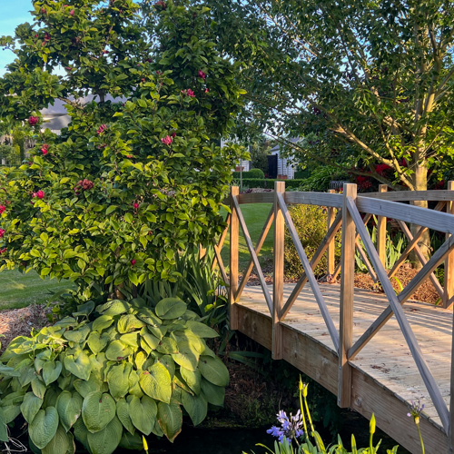 Cottonwood Garden image