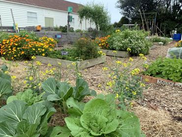 8Db46fe8 Dcfc 499B B132 37F2192b081f