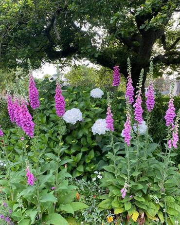 406542857 17991064664417551 8407764856154105919 N