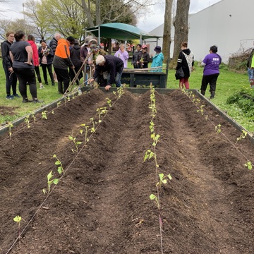 Kumara workshop