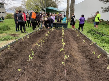 Kumara workshop