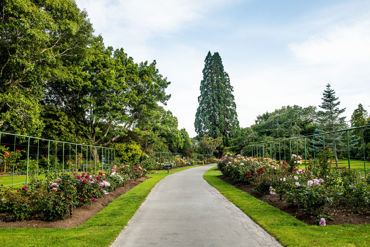 Gorepublicgardens 50