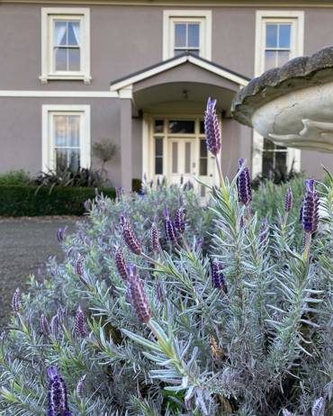 373084600 17979836249417551 8604630091567385974 N