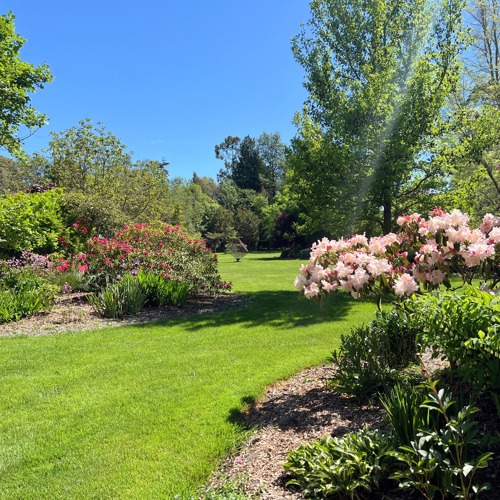 Willow Springs image