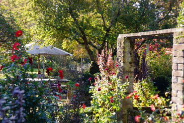 dsc03727.jpg