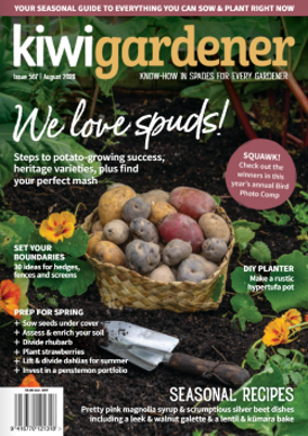 Kiwi Gardener