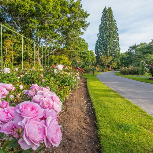 Gore Public Gardens image