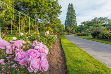 Gorepublicgardens 27