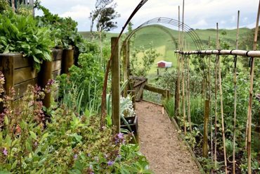 21Afb227 4812 4843 84F0 F51163253eda