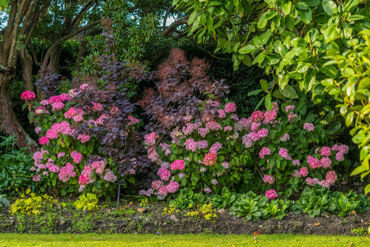 Gorepublicgardens 25