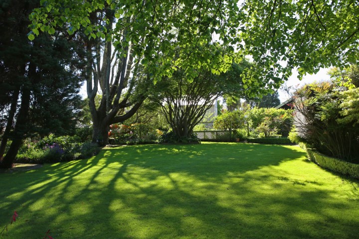 Gardens to visit Whitney Garden