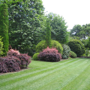 637319892396545798Sports Lawn Side Path