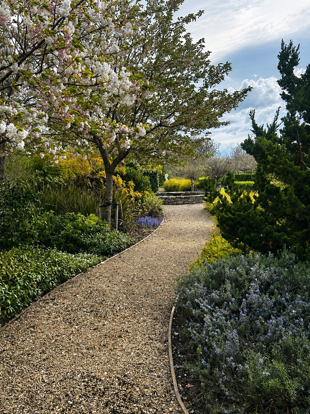 Henry & Lynne's Garden 2.png