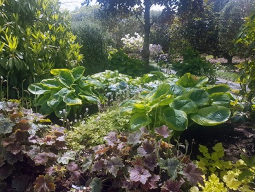 63731986571055591520161109 134558