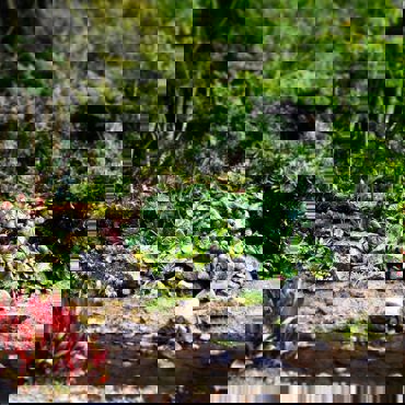 1926191 10153319740004696 6117971745308324790 O