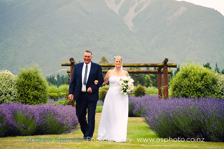 Gardens to visit Kaikoura Lavender Farm