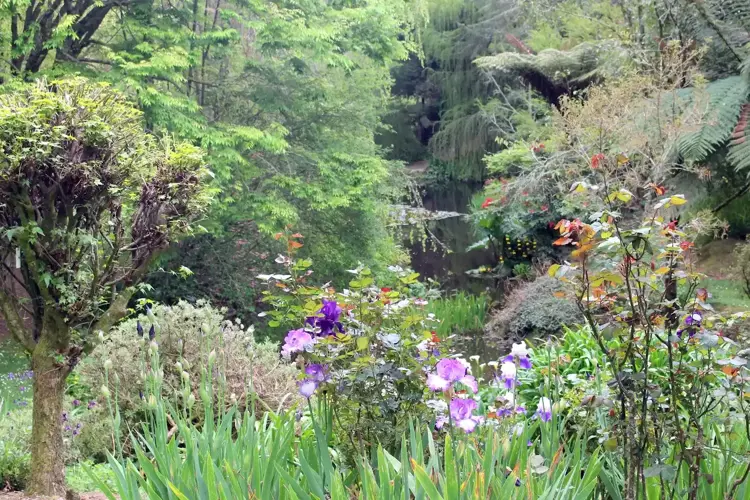 Aramatai Gardens
