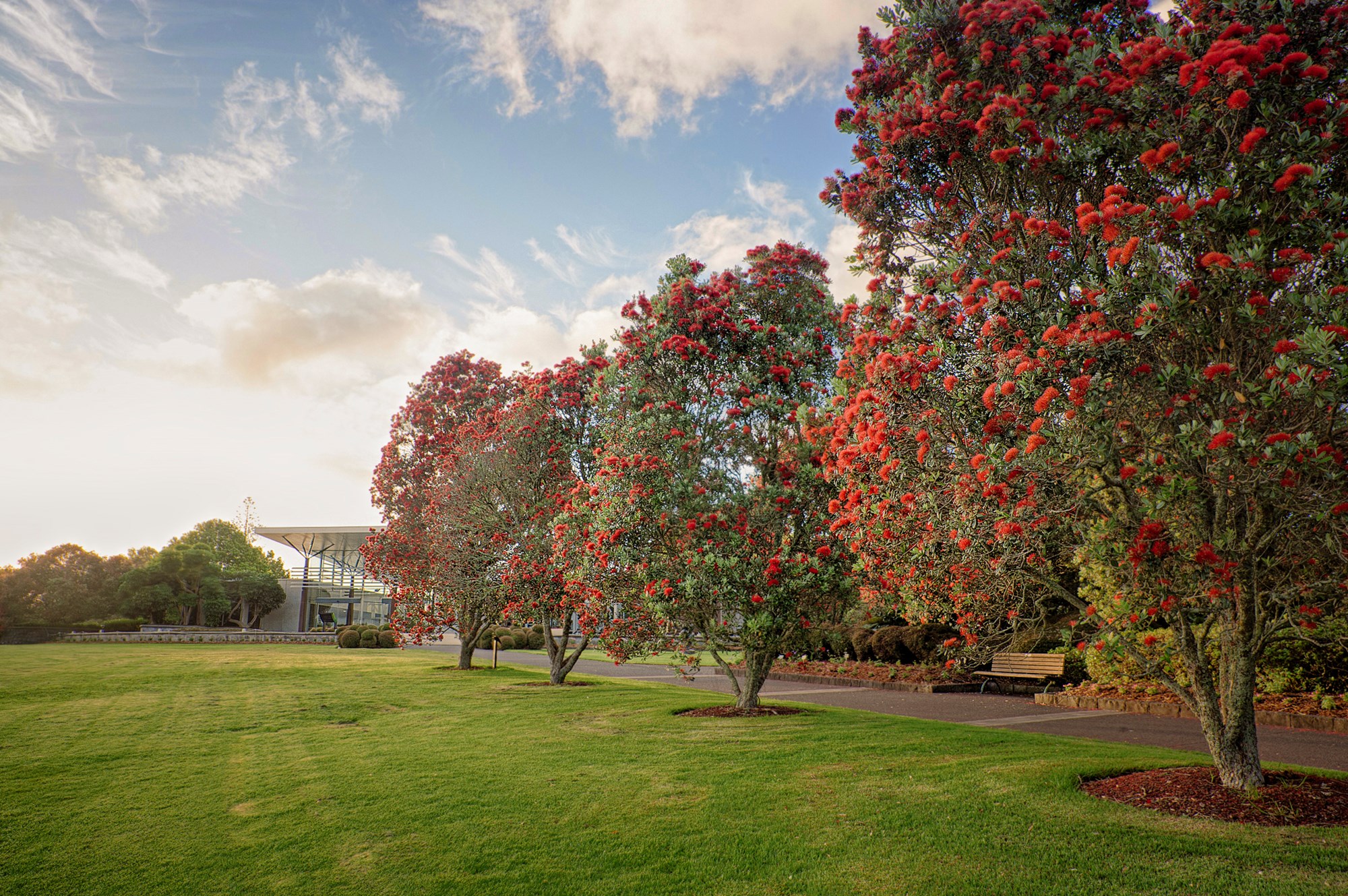 Gardens To Visit Auckland Botanic Gardens