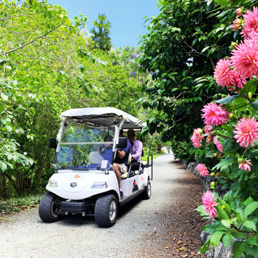 wqgt-golf-cart-kerry-marinkovich.jpeg