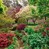 Clachanburn Garden image