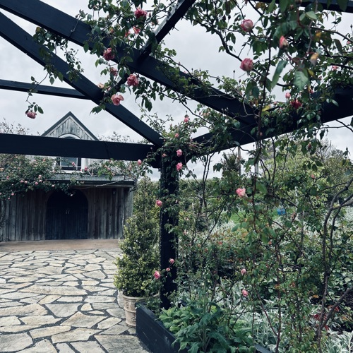 Addenbrooke Garden  image