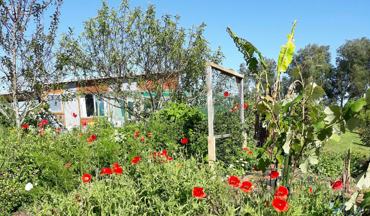 40C53d1e C0ab 4992 9E04 4D5b8a324f87