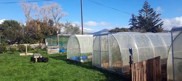 36445Cac Bd91 4179 Af3a 007A55403f7e