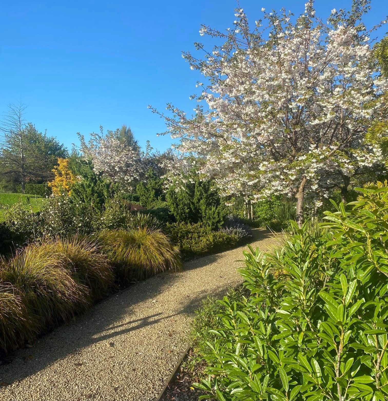 Henry & Lynne's Garden 1.JPG