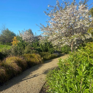 Henry & Lynne's Garden 1.JPG