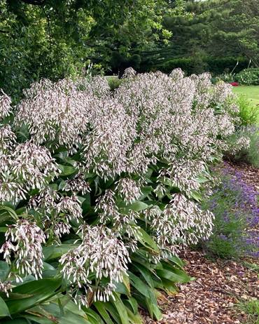 317941765 842860940396951 8932580421116150917 N