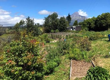 6F1de0bb 061B 4E68 9C0a 44C4bf56d42c