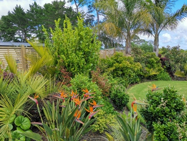 IMG 20211118 105915 Resized 20220512 060934085