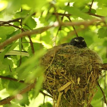 Gallery2 500X500 Crop Center