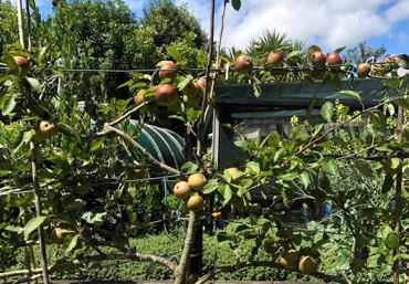 Bcdc0c30 1802 45Fd 8E90 0Bb4c6fda17c