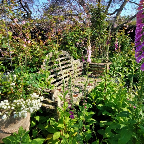 Addenbrooke Garden  image