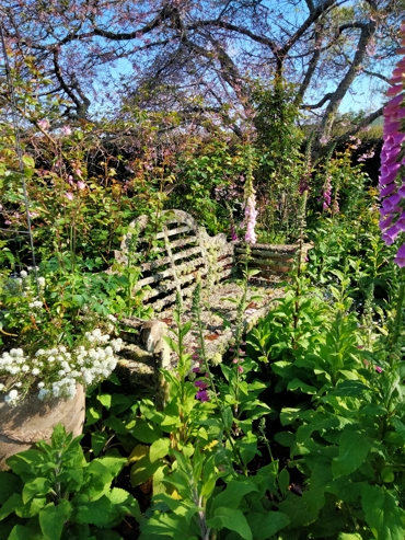 Garden Chair