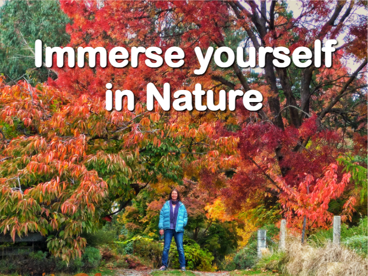 Beautiful Gardens of Wanaka