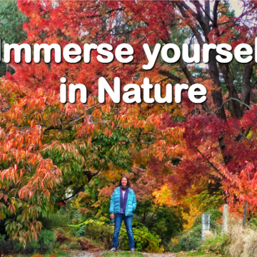 Beautiful Gardens of Wanaka