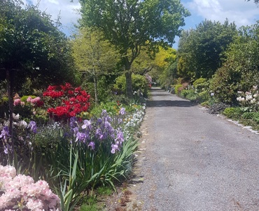 63731986571102441420161109 134901