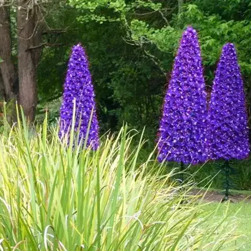 Kaipara Coast Sculpture Gardens image
