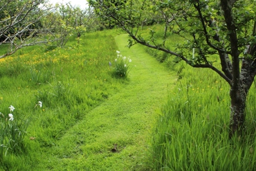 Plum Orchard, Earthlore, The Catlins NZ