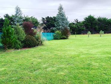 336754153 246969697797156 5654488139044470285 N