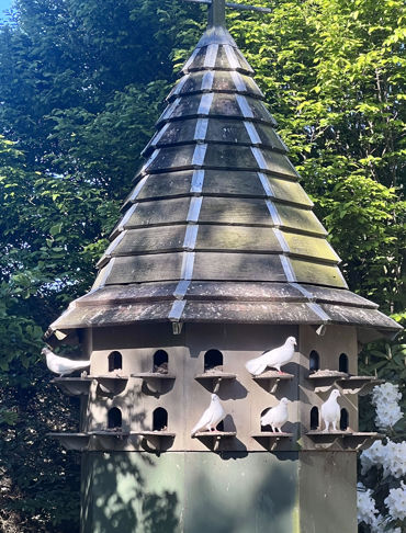 Dovecoat by the Pond